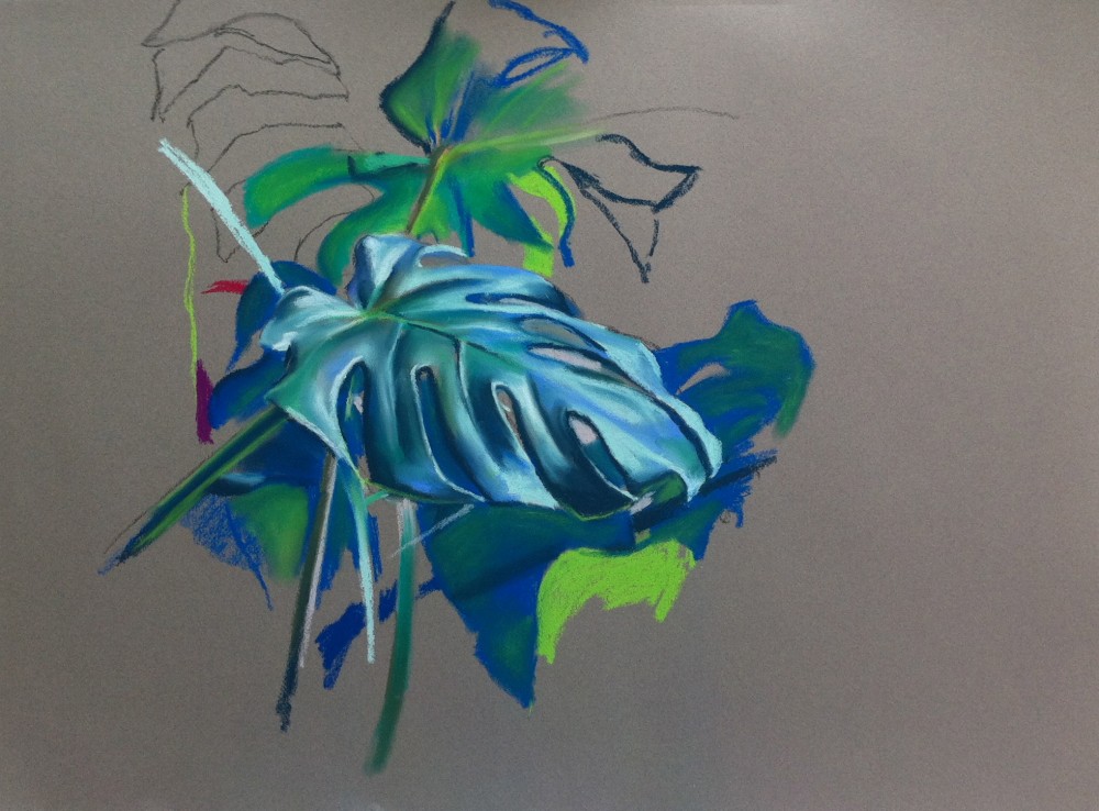Pastel colour drawing of Swiss cheese plant leaf